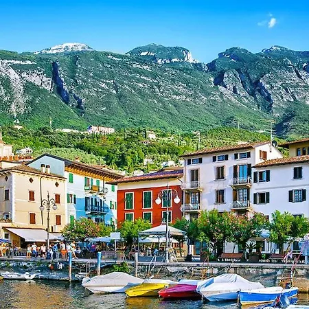 Gabbiano - Collection Garda (Verona)